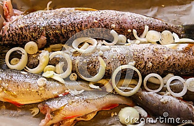 Raw fish with fresh onion and pepper ready to cook. Ingredients for cooking in a tray Stock Photo