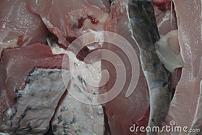 Raw fish pices Stock Photo
