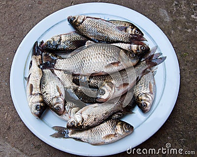 Raw Fish on white plate Stock Photo