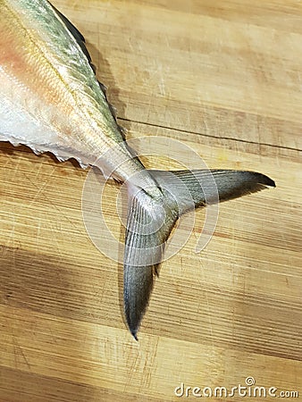 Raw fist tail on a wooden chopping board Stock Photo