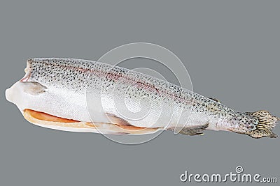 Raw fresh big headless fish. Isolated on gray background Stock Photo