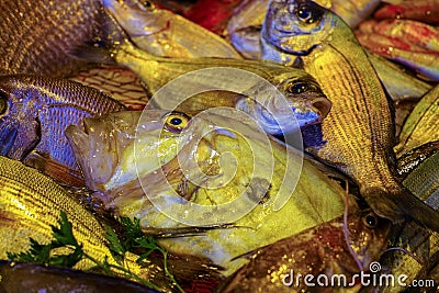 Raw fresh gilt-head bream, dorade fish on ice, ready to cook Stock Photo