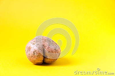 Raw funny potato in a shape of Stock Photo