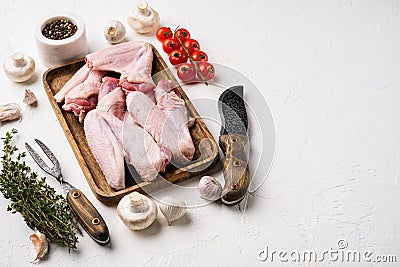 Raw goose wings, on white stone table background, with copy space for text Stock Photo