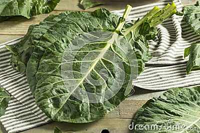 Raw Green Organic Collard Greens Stock Photo