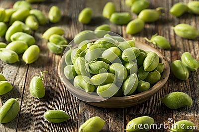 Raw Green Organic Garbanzo Beans Stock Photo