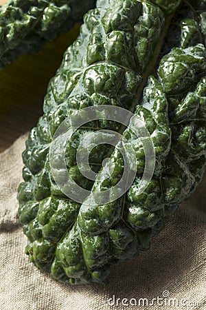 Raw Green Organic Lacinato Kale Stock Photo