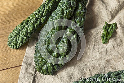 Raw Green Organic Lacinato Kale Stock Photo