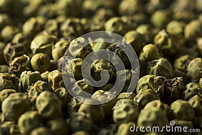 Raw Green Organic Peppercorns Stock Photo