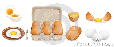 Raw, hard boiled, fried chicken eggs, vector isolated illustration. Whole broken, white yellow raw eggs, carton pack. Vector Illustration