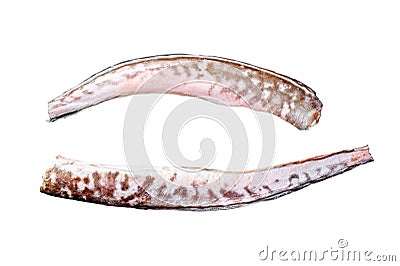 Raw king klip, congrio fish. Isolated on white background. Top view. Stock Photo