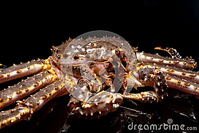 Raw live Kamchatka crab Paralithodes camtschatica Stock Photo