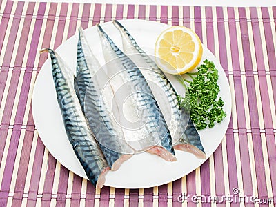 Raw mackerel fish filet Stock Photo