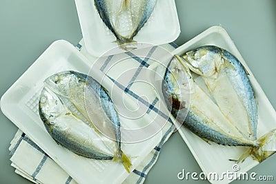 Raw mackerel fish steamed in foam tray Stock Photo