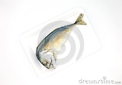 Raw mackerel fish steamed in foam tray. Stock Photo