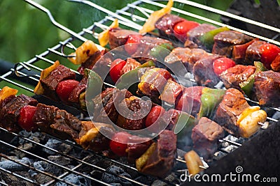 Raw meat just put on the barbecue, meat skewer with diced vegetables Stock Photo