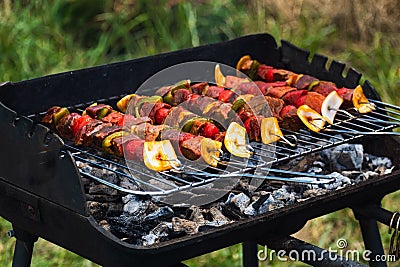 Raw meat just put on the barbecue, meat skewer with diced vegetables Stock Photo