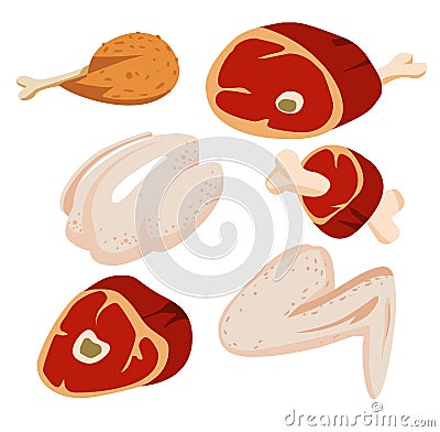 Raw meat set Vector Illustration