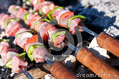 Raw meat skewers Stock Photo