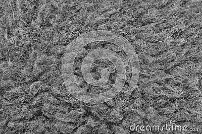 Raw Merino Sheep Wool Macro Closeup, Large Detailed Grey Textured Pattern Copy Space Background, Horizontal Gray Texture Stock Photo