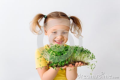 Raw microgreens broccoli sprouts in child hands, healthy eating concept Stock Photo