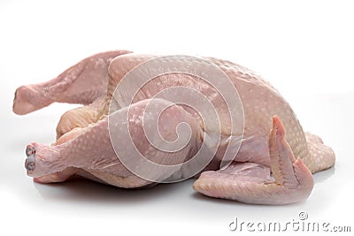 Raw naked chicken on white background Stock Photo