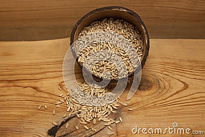 Raw oat grains in a coconut shell, ingredient for delicious healthy breakfast on a wooden background, copy space Stock Photo