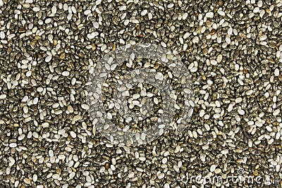 Raw Organic Chia Seeds Stock Photo