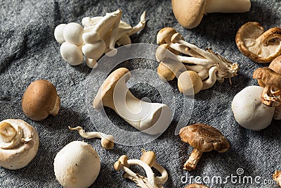 Raw Organic Gourmet Mushroom Assortment Stock Photo