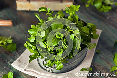 Raw Organic Green Watercress Stock Photo