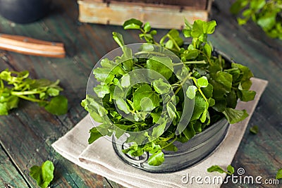 Raw Organic Green Watercress Stock Photo