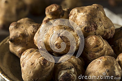 Raw Organic Jerusalem Artichoke Sunchokes Stock Photo