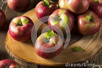 Raw Organic Red Mcintosh Apples Stock Photo