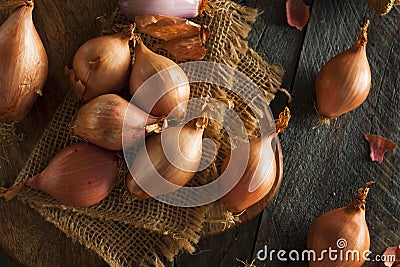 Raw Organic Spicy Shallots Stock Photo