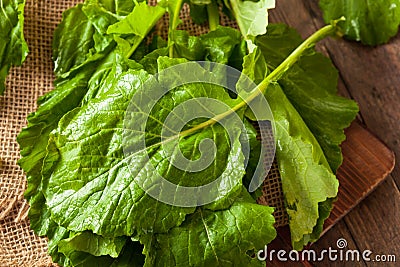 Raw Organic Turnip Greens Stock Photo