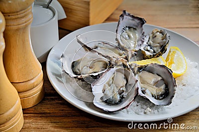 Raw Oyster Stock Photo