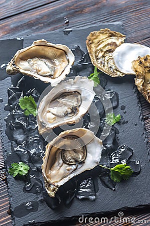 Raw oysters on the black stone board Stock Photo