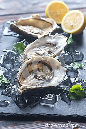 Raw oysters on the black stone board Stock Photo