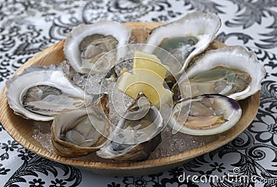 Raw oysters and a littleneck with lemon Stock Photo