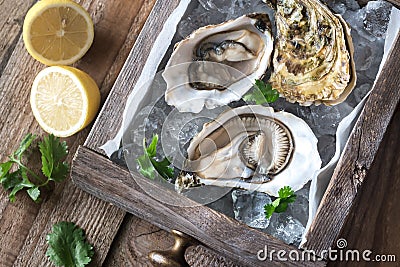 Raw oysters in the wooden box Stock Photo