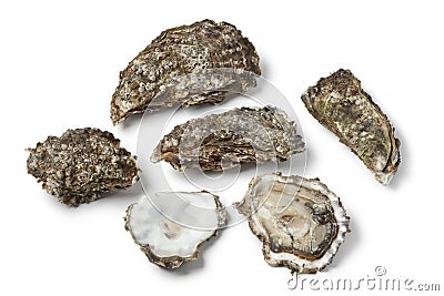 Raw Pacific oysters Stock Photo