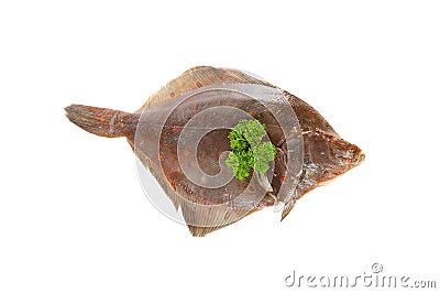 Raw plaice fish Stock Photo