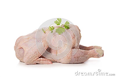 Raw plucked turkey Stock Photo