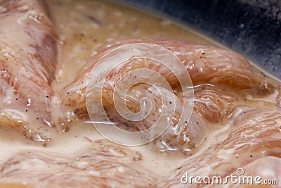 Raw pork slice meat with fermented Stock Photo