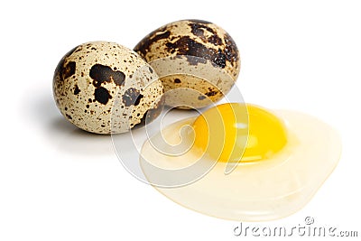 Raw quail eggs Stock Photo