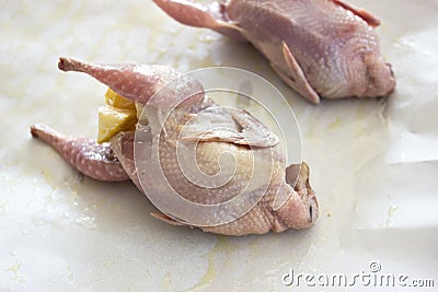 A raw quail stuffed with fresh fruits and vegetables on a tray Stock Photo