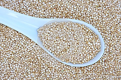 Raw Quinoa Grains Stock Photo