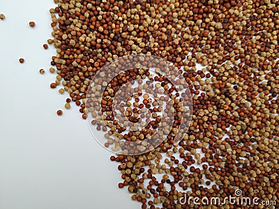 Raw Ragi/Finger Millet is a rich in protein, fiber, calcium, iron, prevents from osteoporosis and cholesterol, strengthens bone. Stock Photo