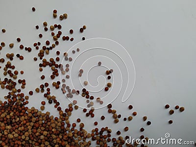 Raw Ragi/Finger Millet is a rich in protein, fiber, calcium, iron, prevents from osteoporosis and cholesterol, strengthens bone. Stock Photo