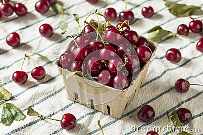 Raw Red Organic Tart Cherries Stock Photo